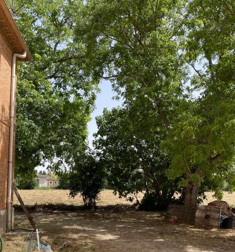 06-finca-03