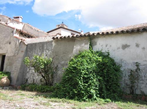 jardín