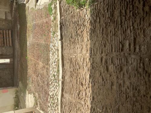 foto-6-detalle-solera-de-tejoncillo